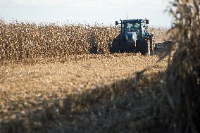 field, combine harvester, corn crop yield