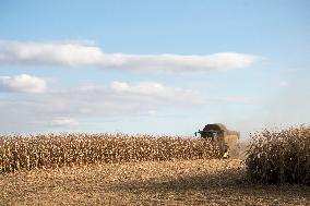 field, combine harvester, corn crop yield