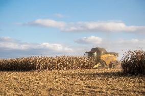 field, combine harvester, corn crop yield