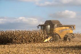 field, combine harvester, corn crop yield