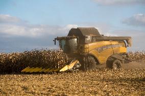 field, combine harvester, corn crop yield