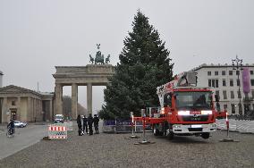 Christmas tree in front of Brandenburg Gate