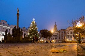 Lit Christmas tree,  Pernstynske square, Pardubice