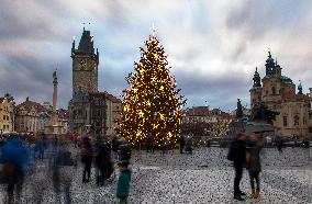 Christmas tree, Old Town Square in Prague