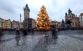 Christmas tree, Old Town Square in Prague