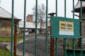 Salmonella bacteria were found in dust in one of the halls in Proagro Nymburk firm