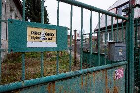 Salmonella bacteria were found in dust in one of the halls in Proagro Nymburk firm