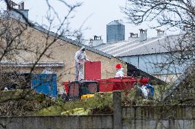 Salmonella bacteria were found in dust in one of the halls in Proagro Nymburk firm