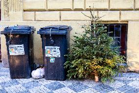 Prague, city services, recycling, rubbish, sorting, ecology, waste collection, Christmas trees