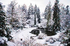 Pruhonice Park, Podzamecky pond, ice, winter, snow