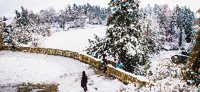 Pruhonice Park, Podzamecky pond, ice, winter, snow