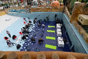 Press conference of Aquapalace Praha water park on government's coronavirus measures