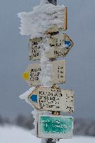 signpost, snow, weather, winter