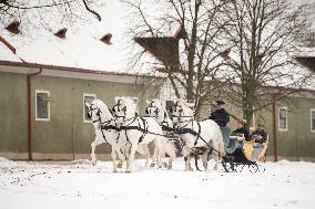 National Stud Kladruby nad Labem, Kladruber, Old Kladrub white horse, sledge