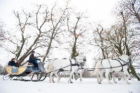 National Stud Kladruby nad Labem, Kladruber, Old Kladrub white horse, sledge