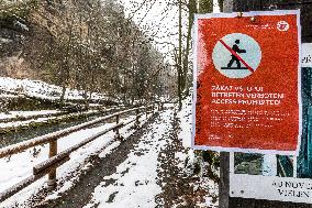 Bohemian Switzerland in Hrensko region, spruce trees bark beetle infection, access prohibited