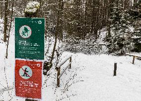 Bohemian Switzerland in Hrensko region, spruce trees bark beetle infection, access prohibited