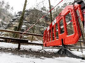 Bohemian Switzerland in Hrensko region, spruce trees bark beetle infection