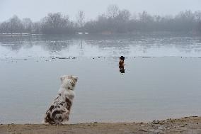 young man bathes in ice water in the natural swimming pool, dog