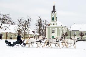 National Stud Kladruby nad Labem, Old Kladruber white horse, sleigh