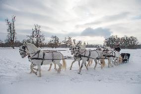 National Stud Kladruby nad Labem, Old Kladruber white horse, sleigh