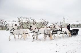 National Stud Kladruby nad Labem, Old Kladruber white horse, sleigh