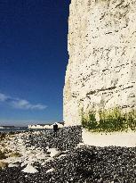 Birling Gap, Seven Sisters, United Kingdom, UK, England, sea, beach