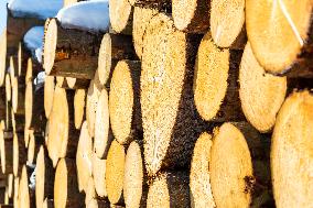 Nature, wood, logs, industry, snow
