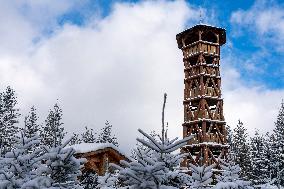 favourite and well known wooden lookout tower inside of forest. Place to relax.