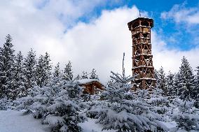 favourite and well known wooden lookout tower inside of forest. Place to relax.