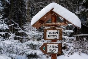 hiking sign in winter time. Snow in forest.