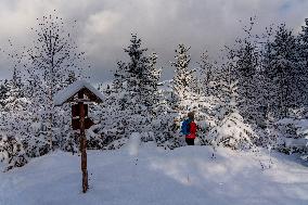 hiking sign in winter time. Snow in forest.