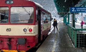 Train, Ceske drahy, Czech national railway carrier, state of emergency, transport, passengers