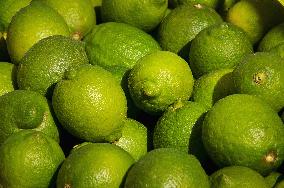 limes, lime, citrus, vitamins, health, Sicily