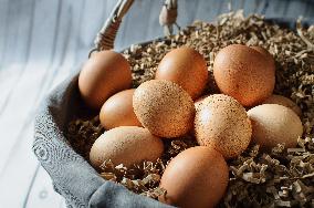 eggs, egg, brown, basket