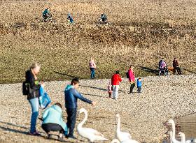 people, swans, weather, Usti nad Labem