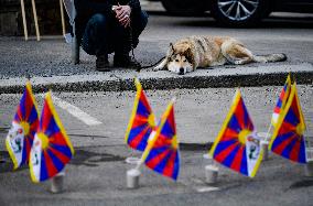 Flag for Tibet, 156 Tibetan flags, outside Embassy of China in Prague