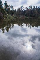 Pruhonice Park, Podzamecky pond, spring, empty, deserted, no people