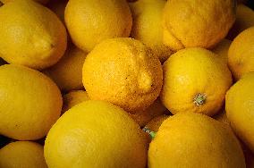 Sicilian lemon, vitamins, health, healthy fruit