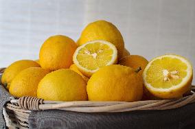 Sicilian lemon, vitamins, health, healthy fruit