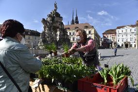 Zelny Trh Market, Brno, fruit, vegetables