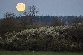 supermoon, super full moon