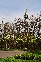 Petrin, Petrin lookout tower, spring, flowers