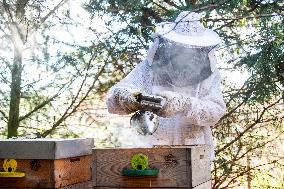 Beekeeper Miloslav Simon