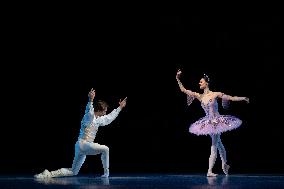 The Sleeping Beauty of The Czech National Ballet, dress rehearsal