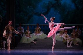 The Sleeping Beauty of The Czech National Ballet, dress rehearsal