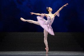 The Sleeping Beauty of The Czech National Ballet, dress rehearsal