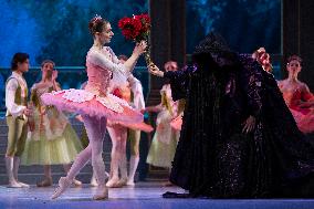 The Sleeping Beauty of The Czech National Ballet, dress rehearsal