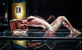 THE HUMAN BODY EXHIBITION, Body Worlds