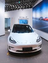 New Energy Electric Vehicle Tesla